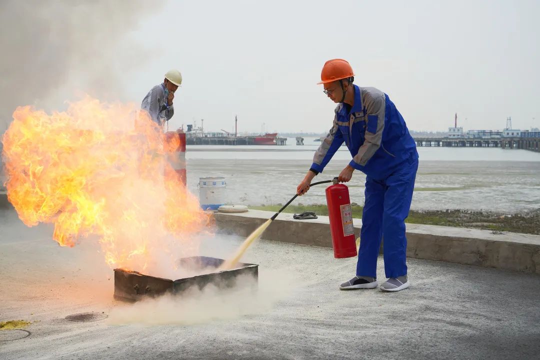 2024年新澳门原料大全